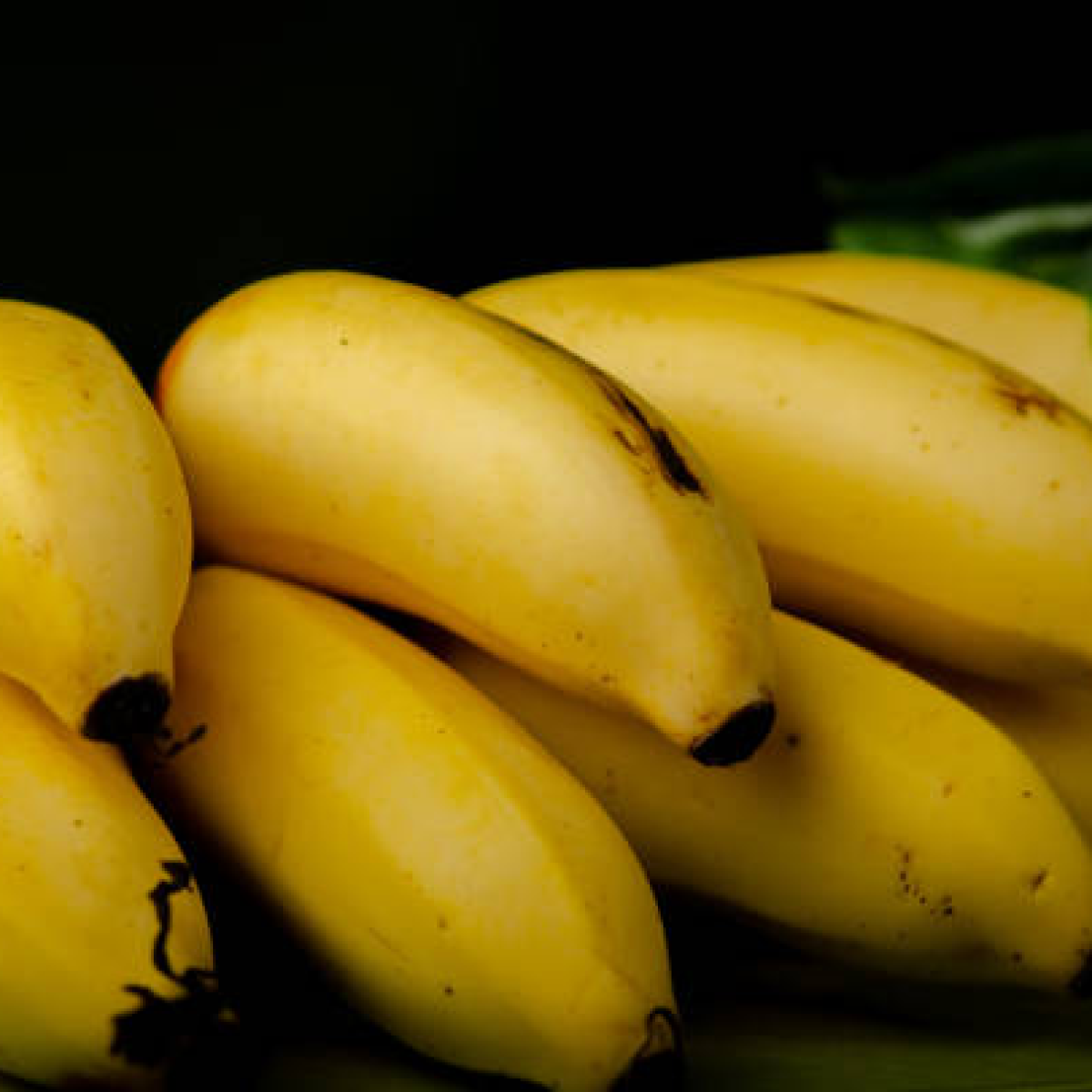 Chuối Lady Finger