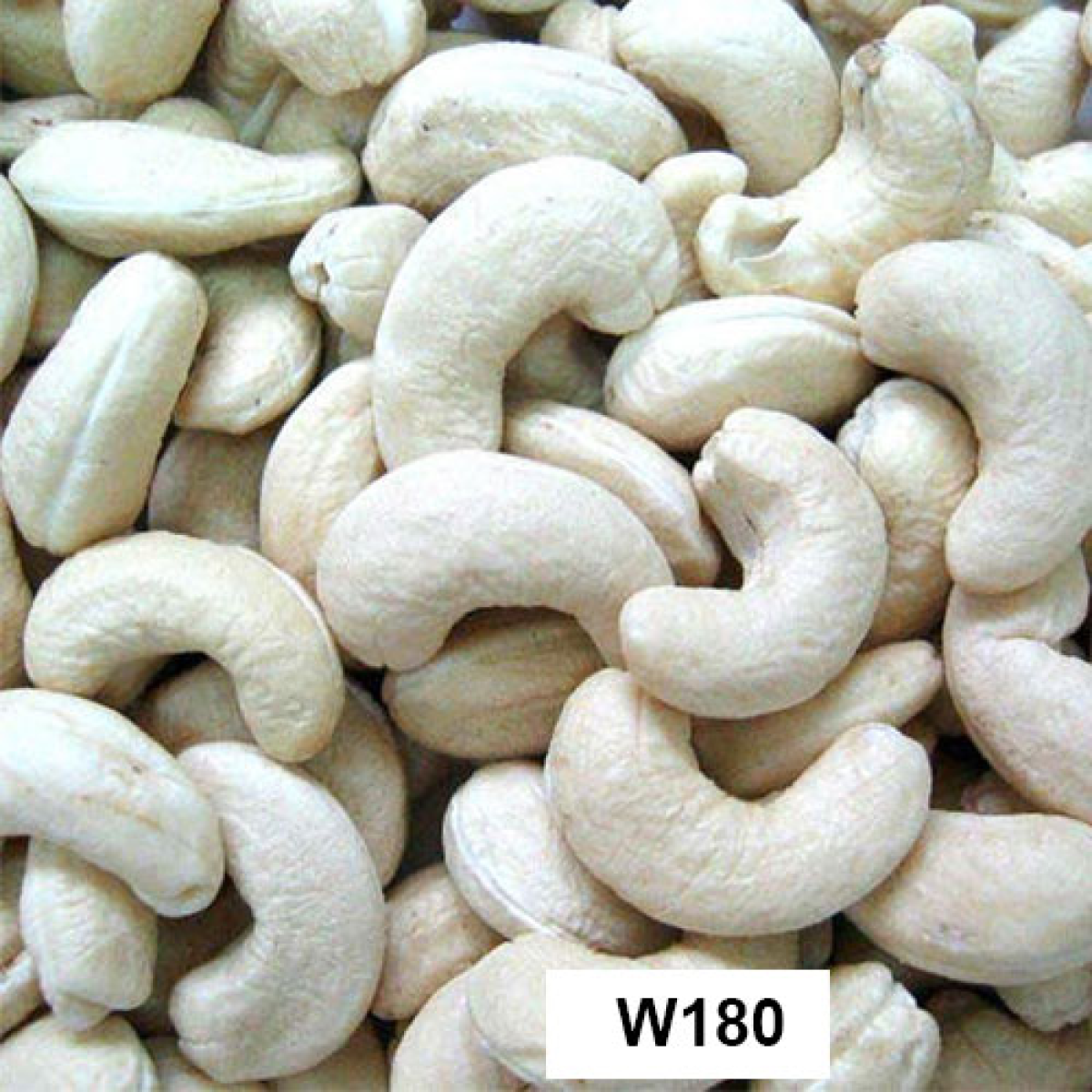 Hạt điều W180 nhân trắng