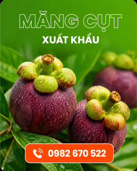 CÔNG TY TNHH THƯƠNG MẠI XNK POK