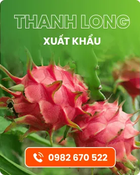 CÔNG TY TNHH THƯƠNG MẠI XNK POK