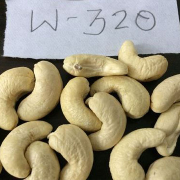 Hạt Điều Nhân Trắng W320 Nguyên Hạt Chất Lượng Cao